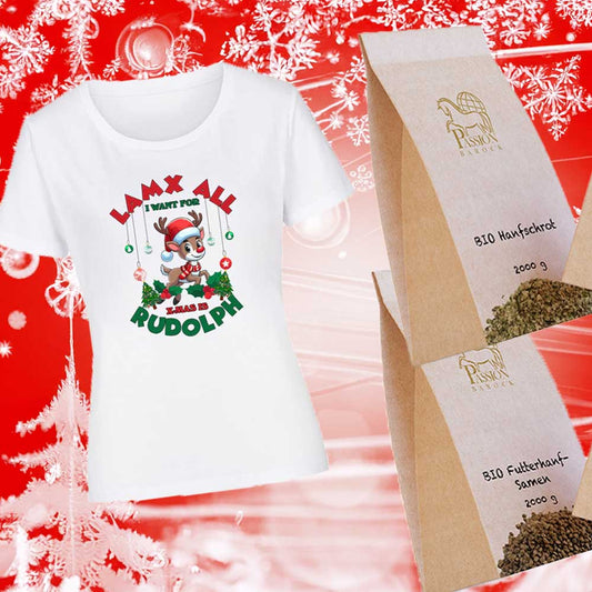 Christmas Bundle Power Paket