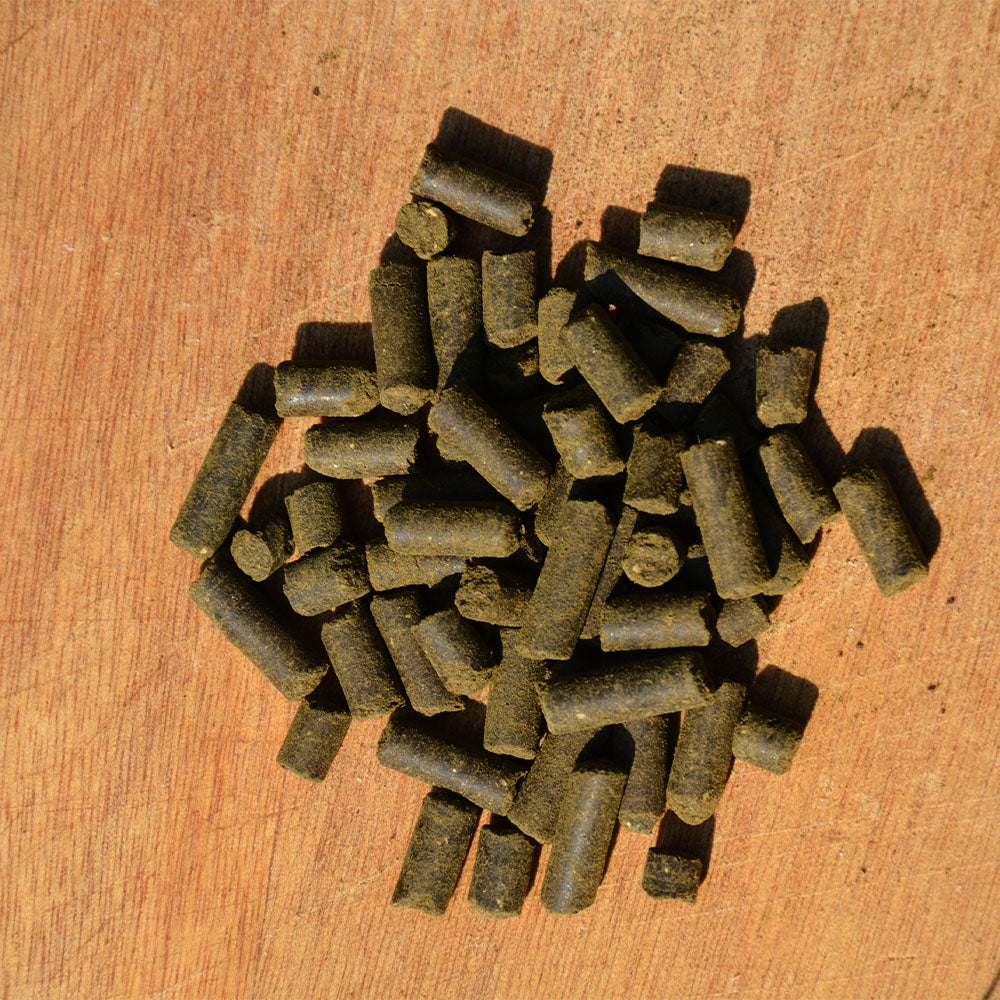 HEMP PET™- CBD Pellets 1 kg - Passion Barock